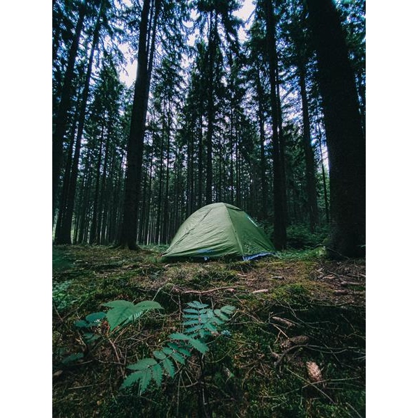 Stan Ultralight | Sawaj 3