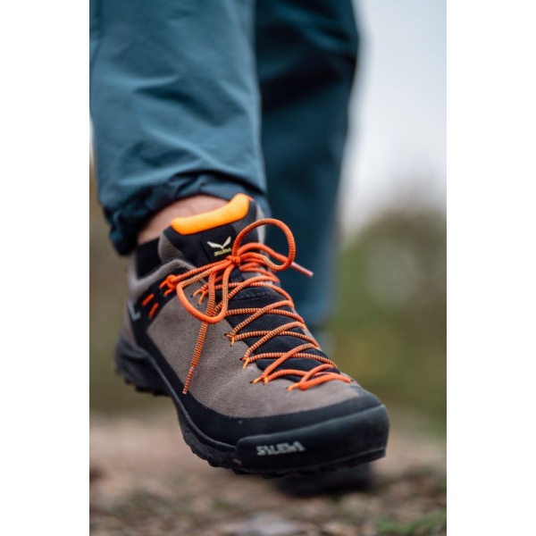 Pánské boty | Wildfire leather GTX