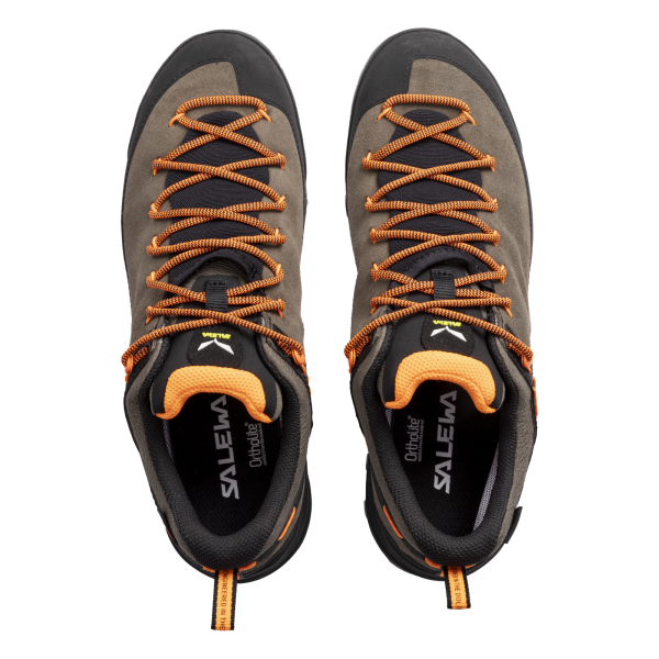 Pánské boty | Wildfire leather GTX