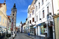 Husky shop - České Budějovice