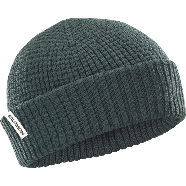 Čepice | DOCKER BEANIE