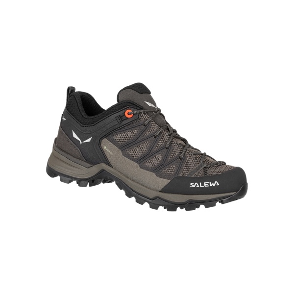 Dámské boty | Mtn trainer lite GTX