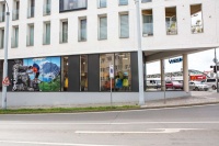 Husky shop - Plzeň