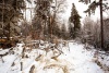 Prales dětem: Tým programu Oko Medvěda opět v terénu